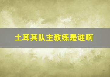 土耳其队主教练是谁啊