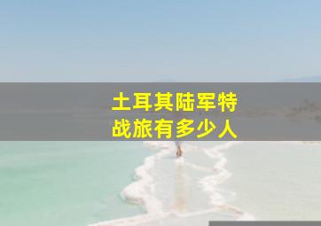 土耳其陆军特战旅有多少人