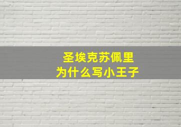 圣埃克苏佩里为什么写小王子