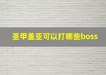 圣甲盖亚可以打哪些boss