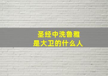 圣经中洗鲁雅是大卫的什么人