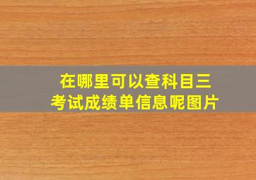 在哪里可以查科目三考试成绩单信息呢图片