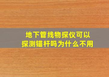 地下管线物探仪可以探测锚杆吗为什么不用