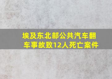 埃及东北部公共汽车翻车事故致12人死亡案件