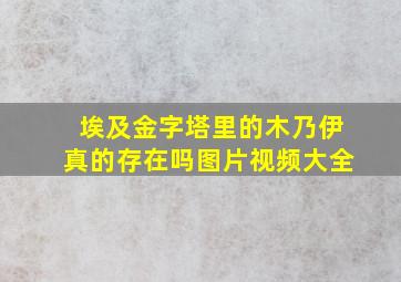 埃及金字塔里的木乃伊真的存在吗图片视频大全