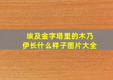 埃及金字塔里的木乃伊长什么样子图片大全