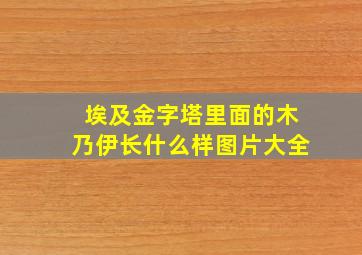 埃及金字塔里面的木乃伊长什么样图片大全