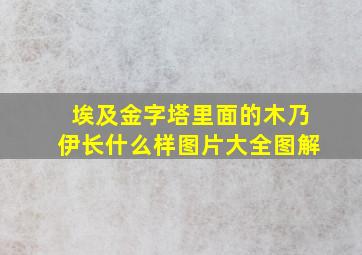 埃及金字塔里面的木乃伊长什么样图片大全图解