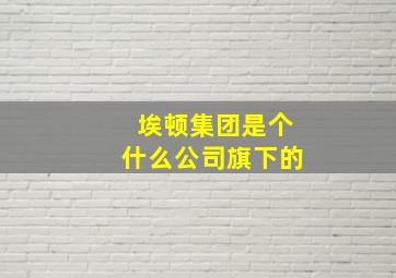 埃顿集团是个什么公司旗下的