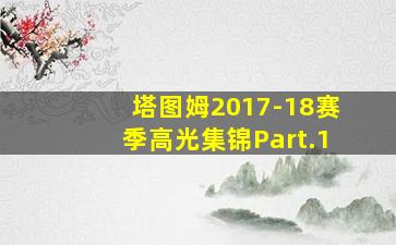 塔图姆2017-18赛季高光集锦Part.1