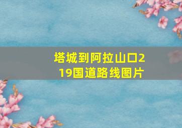 塔城到阿拉山口219国道路线图片