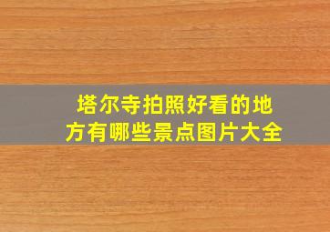 塔尔寺拍照好看的地方有哪些景点图片大全