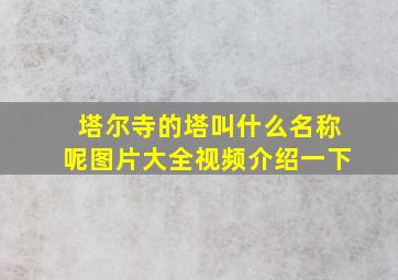 塔尔寺的塔叫什么名称呢图片大全视频介绍一下