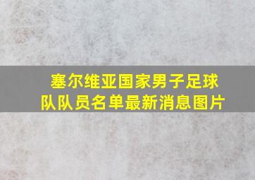 塞尔维亚国家男子足球队队员名单最新消息图片