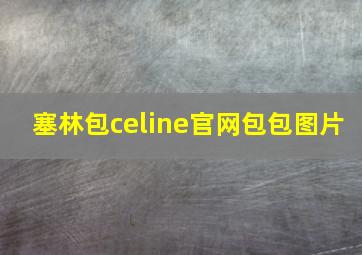 塞林包celine官网包包图片