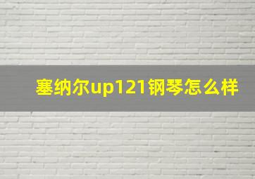 塞纳尔up121钢琴怎么样