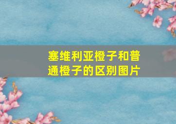 塞维利亚橙子和普通橙子的区别图片