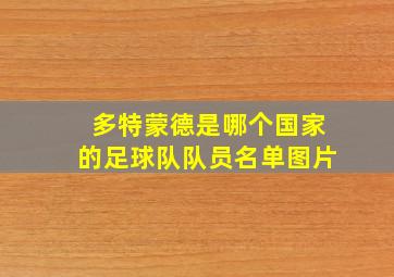 多特蒙德是哪个国家的足球队队员名单图片