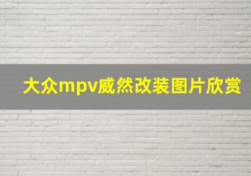 大众mpv威然改装图片欣赏