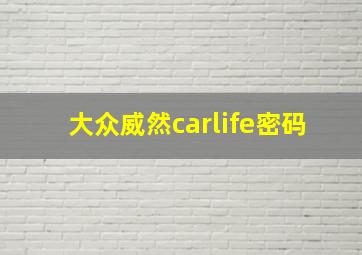 大众威然carlife密码