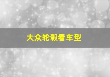 大众轮毂看车型