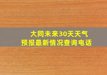 大同未来30天天气预报最新情况查询电话