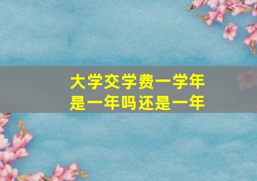 大学交学费一学年是一年吗还是一年