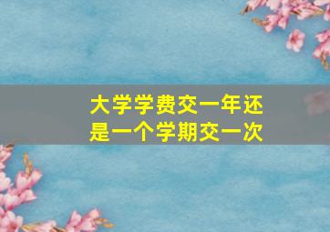 大学学费交一年还是一个学期交一次