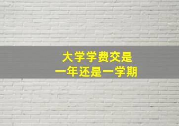 大学学费交是一年还是一学期