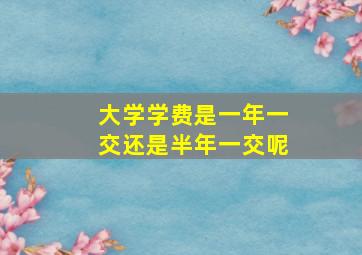 大学学费是一年一交还是半年一交呢