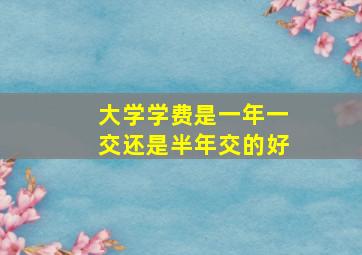 大学学费是一年一交还是半年交的好