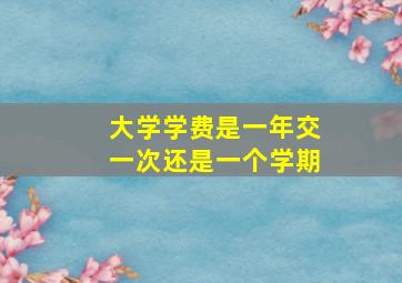 大学学费是一年交一次还是一个学期