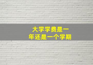 大学学费是一年还是一个学期