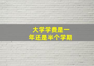 大学学费是一年还是半个学期