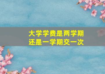 大学学费是两学期还是一学期交一次