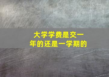 大学学费是交一年的还是一学期的