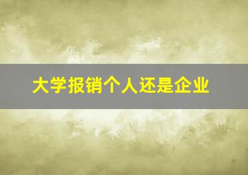 大学报销个人还是企业