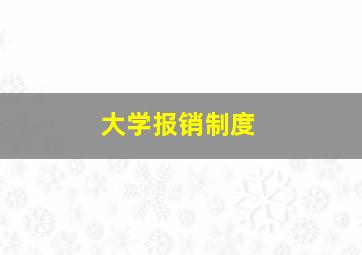 大学报销制度