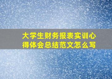 大学生财务报表实训心得体会总结范文怎么写