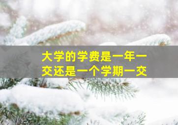 大学的学费是一年一交还是一个学期一交