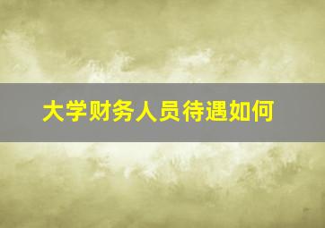 大学财务人员待遇如何