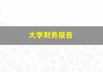 大学财务报告