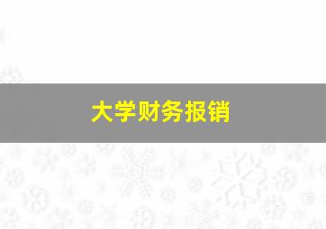 大学财务报销