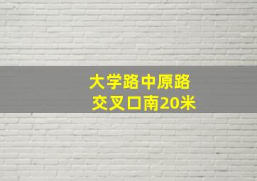 大学路中原路交叉口南20米