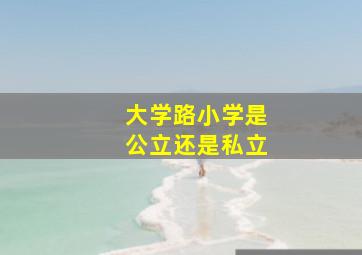 大学路小学是公立还是私立