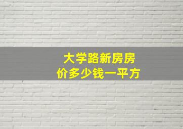 大学路新房房价多少钱一平方