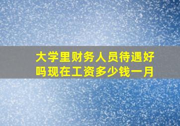 大学里财务人员待遇好吗现在工资多少钱一月