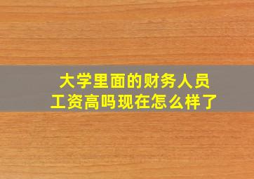 大学里面的财务人员工资高吗现在怎么样了