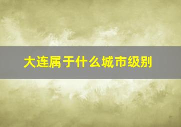 大连属于什么城市级别