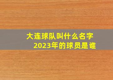 大连球队叫什么名字2023年的球员是谁